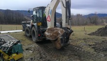 IMG_20200311_105902.jpg